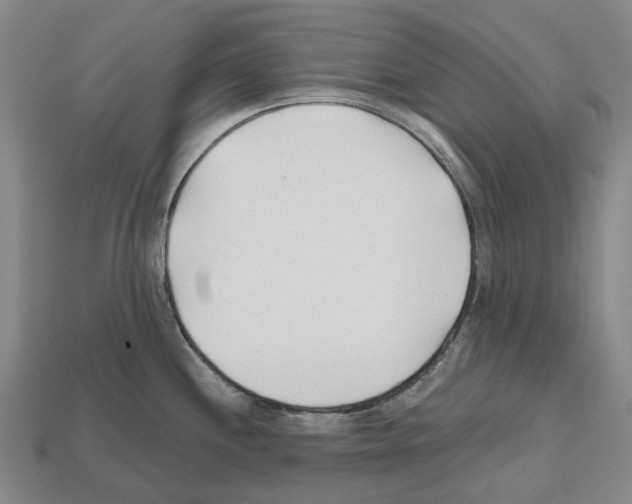 X0000112541244200909281052