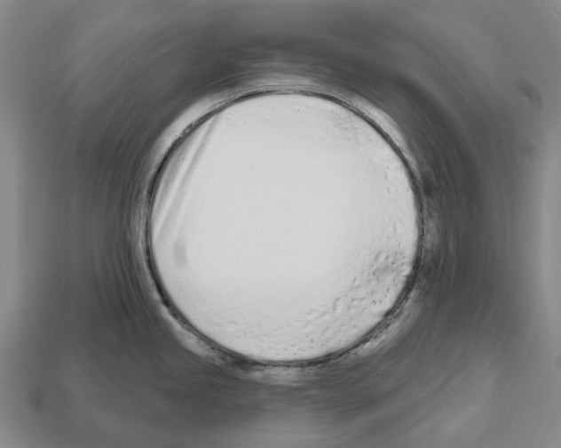 X0000112541245200909281052