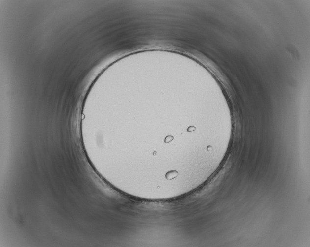 X0000112541246200909281053