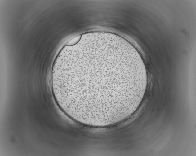 X0000112541247200909281053