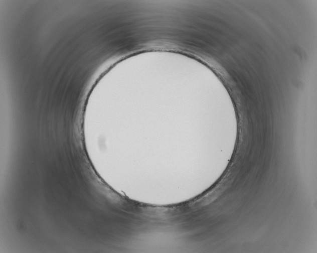 X0000112541248200909281053