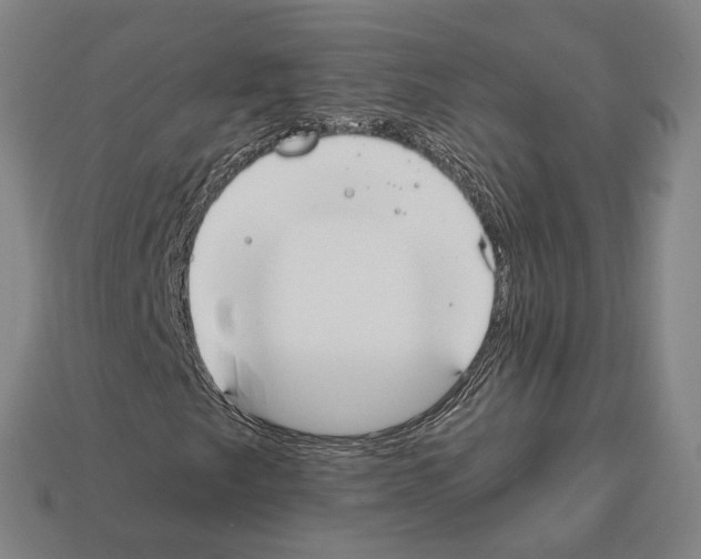 X0000112541249200909281052