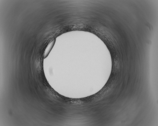 X0000112541250200909281052