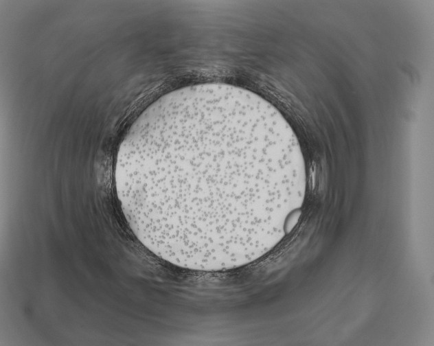 X0000112541251200909281052