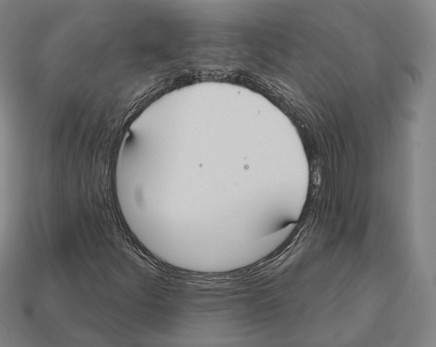X0000112541252200909281052