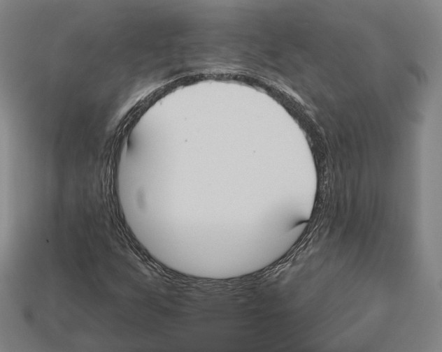 X0000112541255200909281052