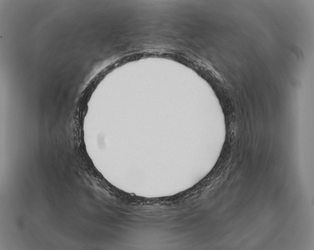 X0000112541256200909281052