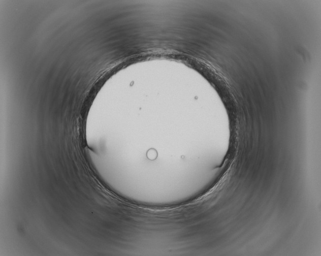X0000112541257200909281052