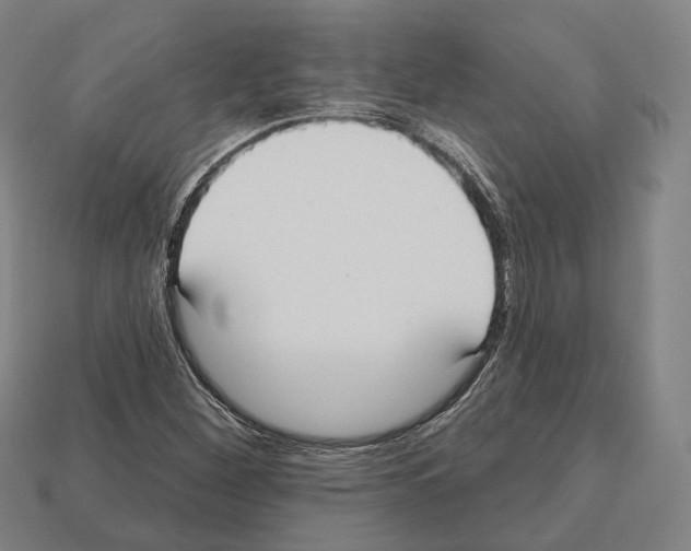 X0000112541260200909281052