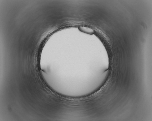 X0000112541261200909281052