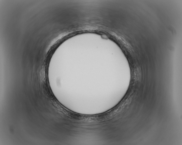 X0000112541262200909281052
