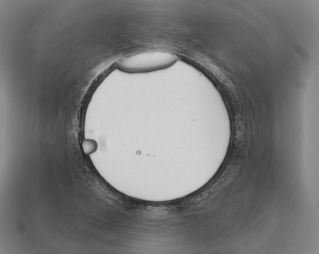 X0000112541264200909281052