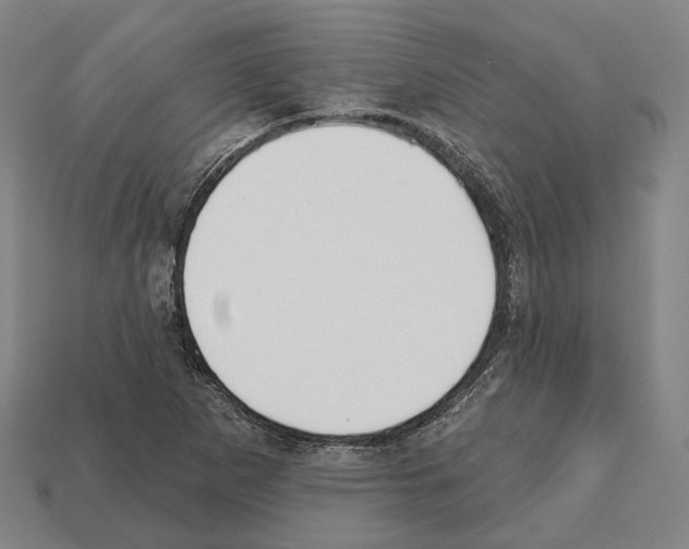 X0000112541265200909281052