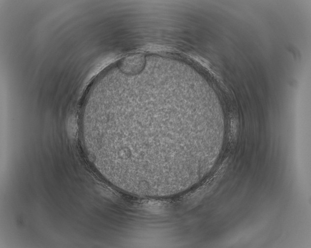 X0000112541266200909281052