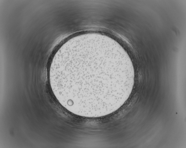 X0000112541267200909281052