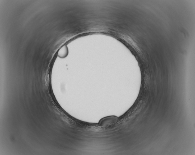 X0000112541268200909281052