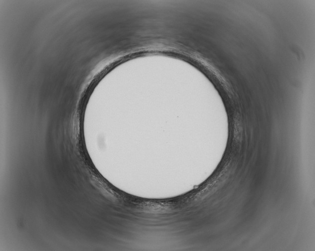 X0000112541270200909281052