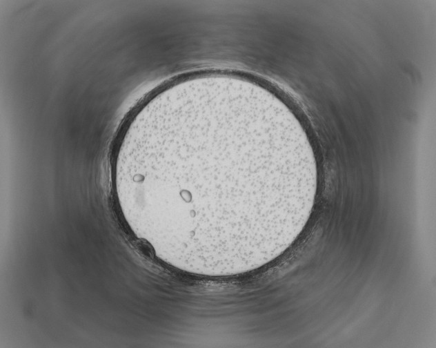 X0000112541271200909281052