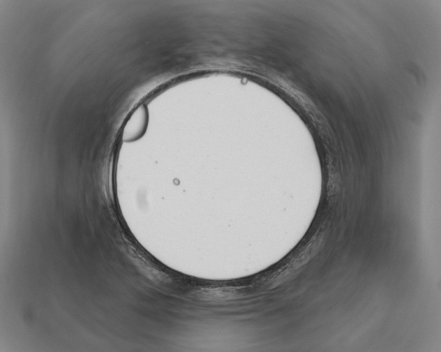 X0000112541272200909281052