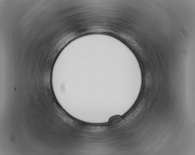 X0000112541273200909281052