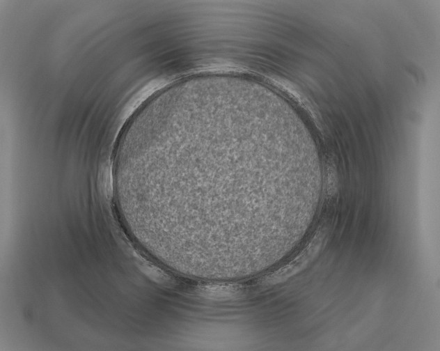 X0000112541274200909281052