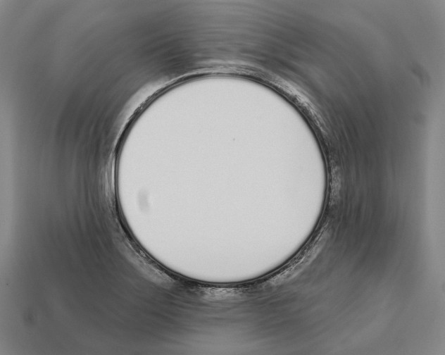X0000112541275200909281052