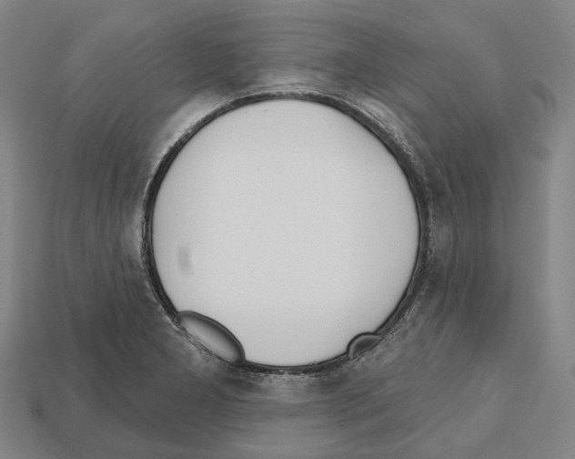 X0000112541277200909281052