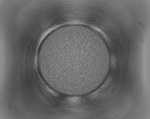 X0000112541278200909281052