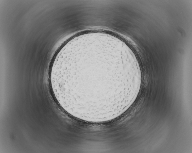 X0000112541279200909281052