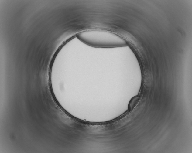X0000112541280200909281052