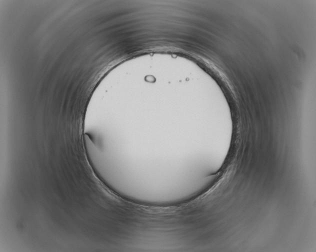 X0000112541281200909281052