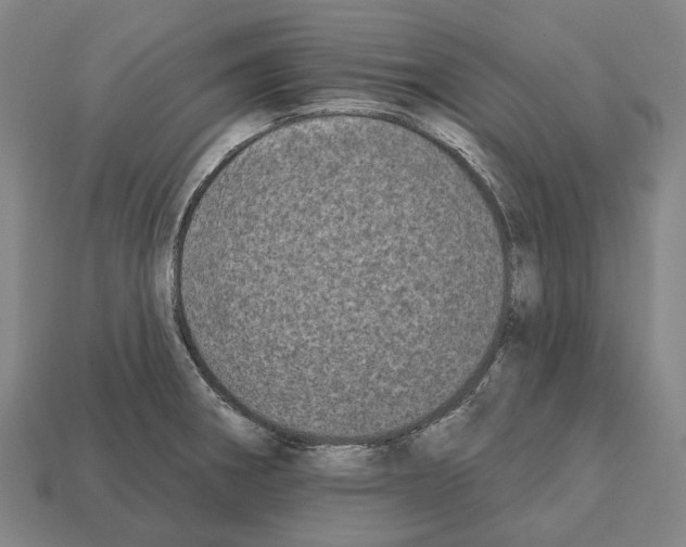 X0000112541282200909281051
