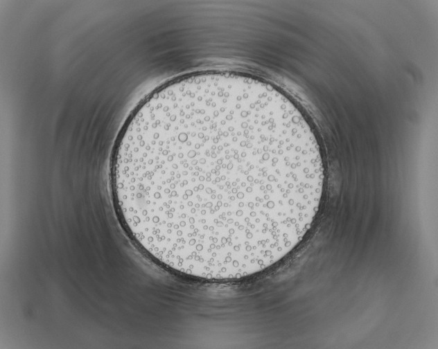 X0000112541283200909281051