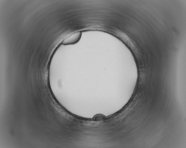 X0000112541284200909281051