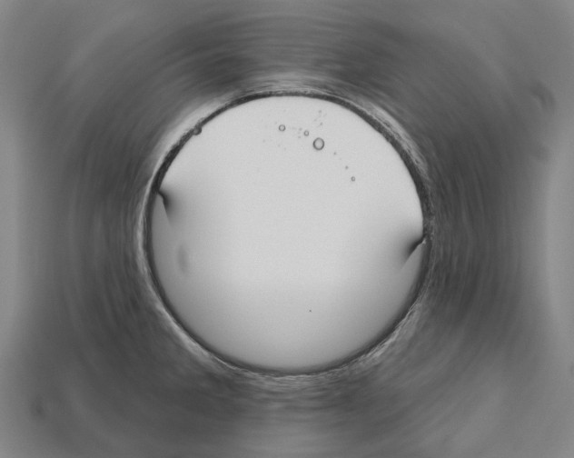 X0000112541285200909281051