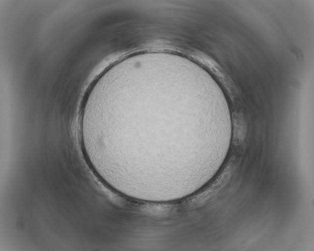 X0000112541286200909281051