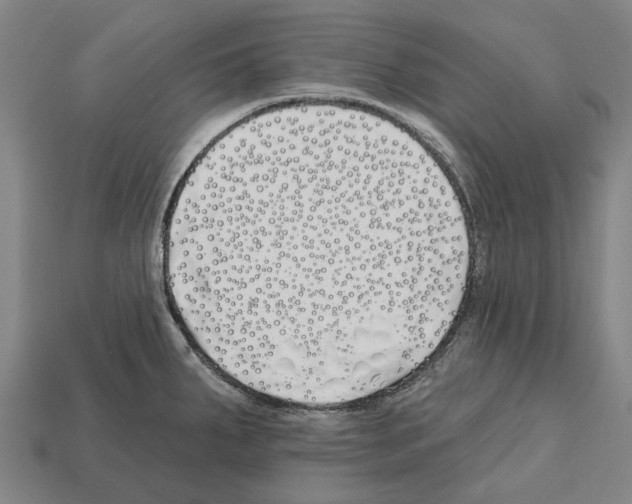 X0000112541287200909281051