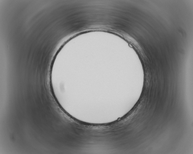 X0000112541288200909281051