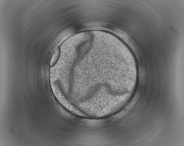 X0000112541289200909281051