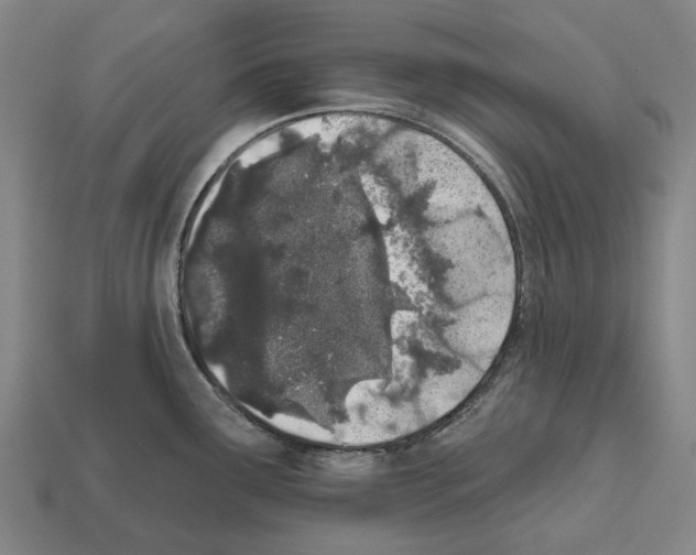 X0000112541291200909281051
