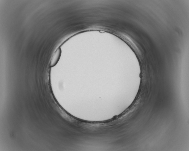 X0000112541292200909281051