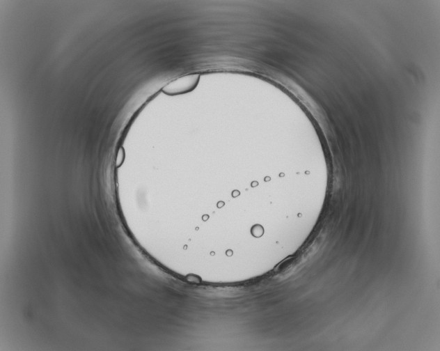 X0000112541293200909281051