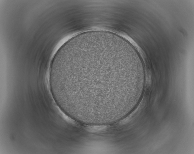 X0000112541294200909281051