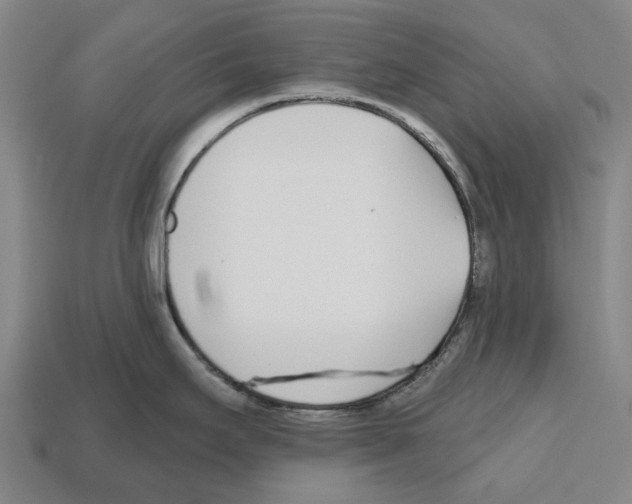 X0000112541295200909281051