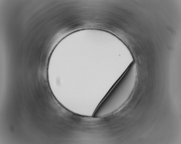 X0000112541296200909281051