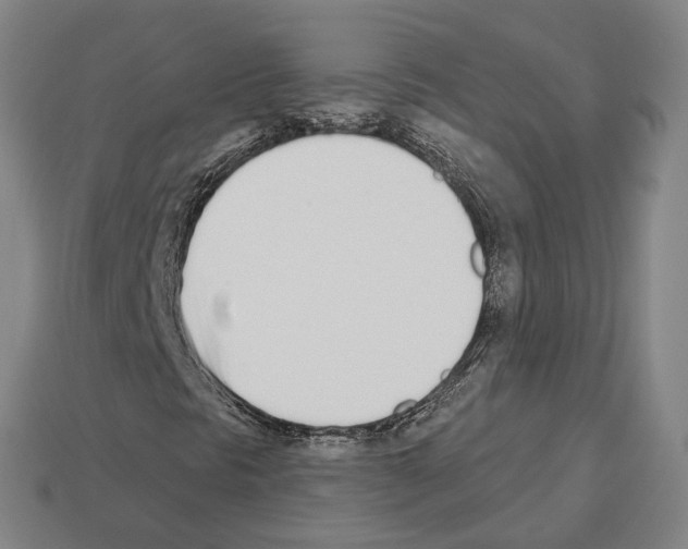 X0000112541297200909281051