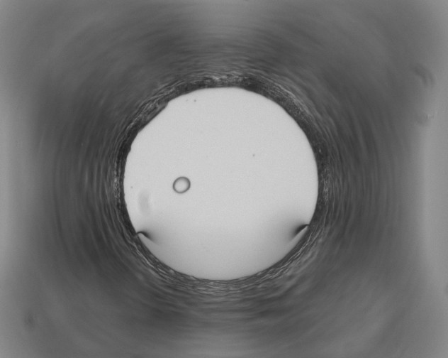 X0000112541298200909281051