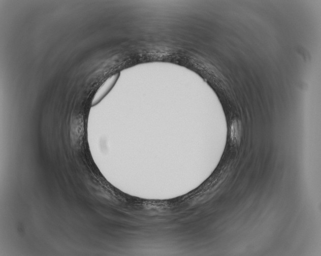 X0000112541299200909281051