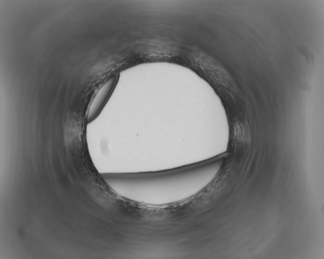X0000112541300200909281051