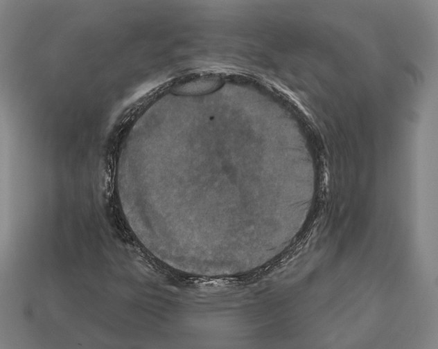 X0000112541303200909281051